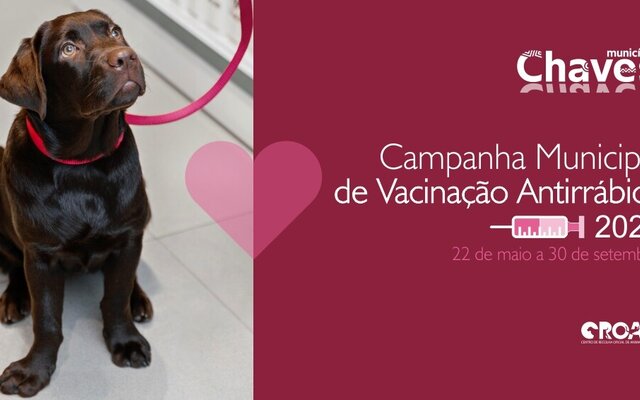 campanha_de_vacinacao_2025